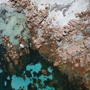 Meet your Posher, Renee